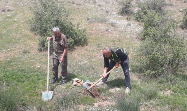 Salep soğanı toplayan kişilere rekor ceza