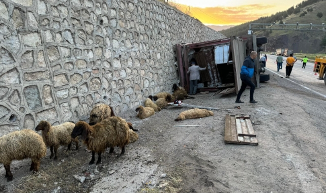 Siirt'te feci TIR kazası!