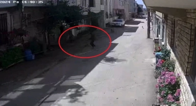 Sokak köpekleri 3 çocuğa saldırdı