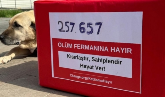 Sokak köpekleri için bakanlığa 257 bin imza teslim edildi
