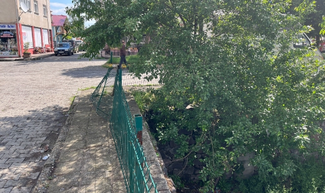 Sokak köpekleri saldırdı, istinat duvarından atlayarak kurtuldu
