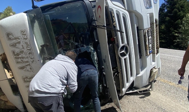 Tomruk yüklü TIR devrildi: 1 yaralı