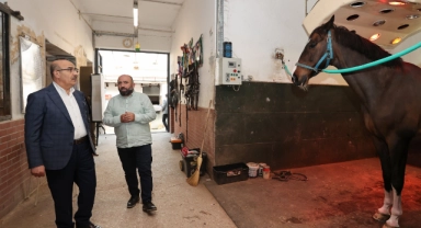 Vali Demirtaş 3. ayak müsabakalarını izledi
