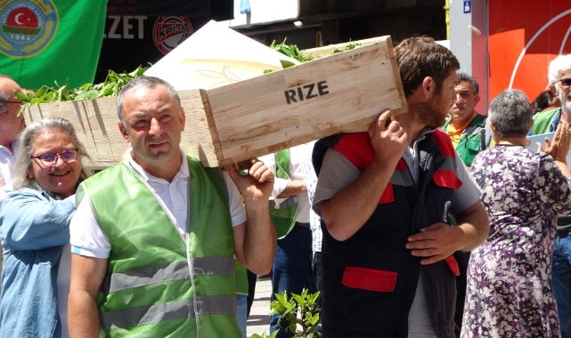 Yaş çay alım fiyatına protesto