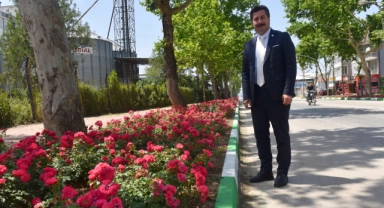 Yenişehir’in vitrininde bahar havası
