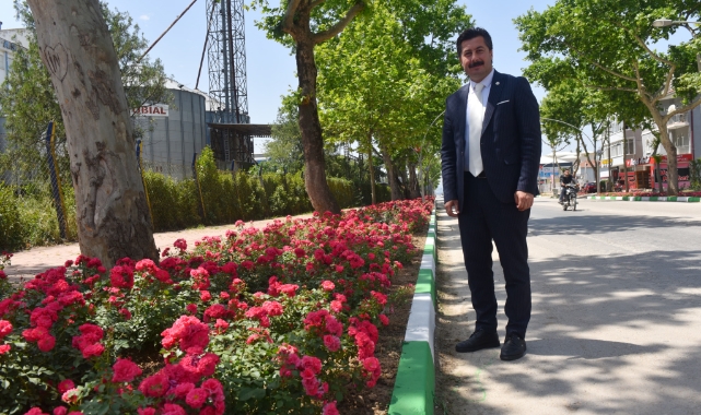 Yenişehir’in vitrininde bahar havası