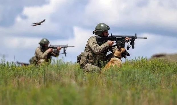 Yunanistan'a geçmeye çalışan 9 kişi yakalandı