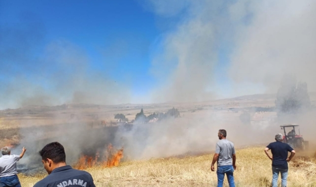 20 dekar ekili alan yangında kül oldu!