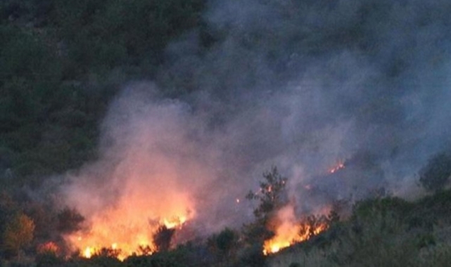 Adana'da 2 günde 10 tane orman yangını çıktı