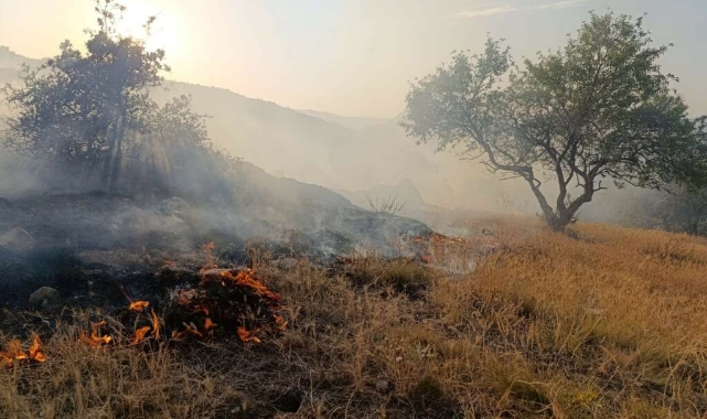 Afyonkarahisar’da çıkan orman yangını söndürüldü