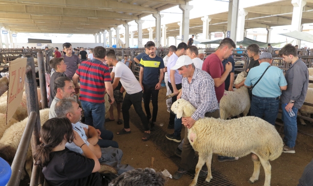 Arefe günü kurban pazarlarında hareketlilik