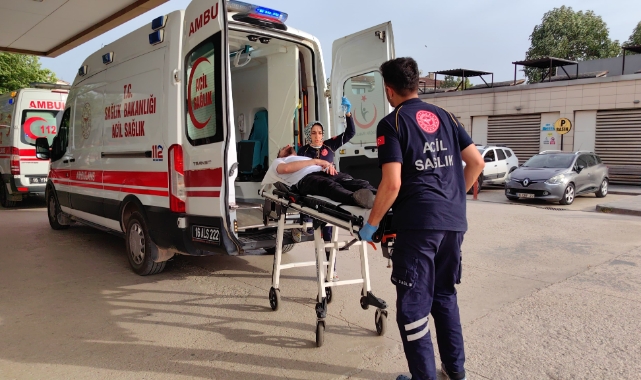 Arıların sokmasıyla solunumu durdu