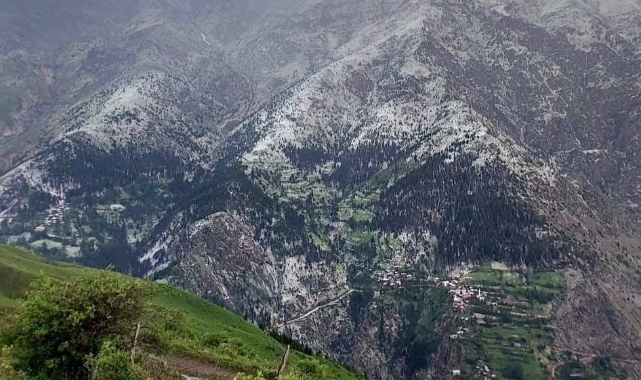 Artvin'de dolu yağışı!
