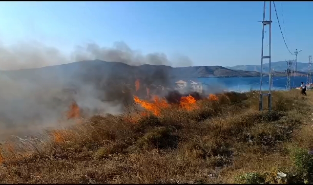 Avşa'da arazi yangını yürekleri ağıza getirdi!