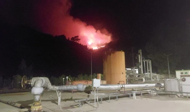Aydın'da orman yangını