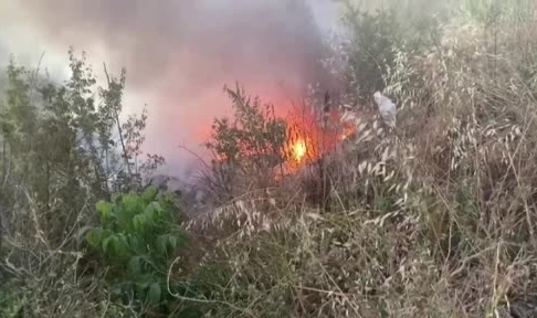 Bafra'da otluk alanda çıkan yangın kontrol altına alındı