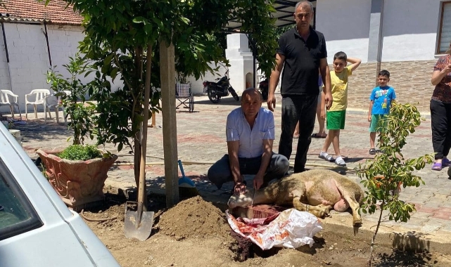Başkan Akdeniz kurbanını kendi kesti