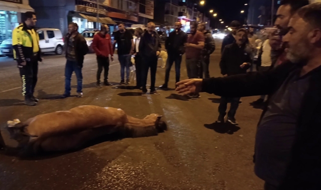 Bunun adı vicdansızlık