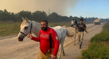 Bursa'da alevlerin arasından hayvanlar kurtarıldı