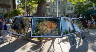 Bursa'da hedef daha temiz bir Marmara Denizi!