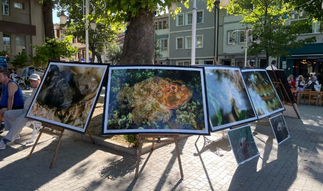 Bursa'da hedef daha temiz bir Marmara Denizi!