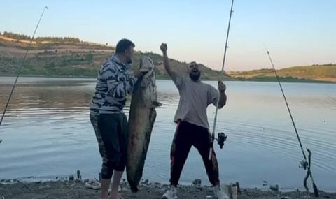 Bursa'da oltayla 165 santimetrelik balık tuttular!