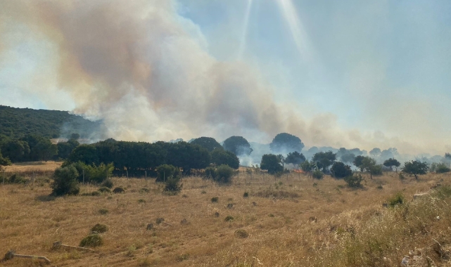 Çanakkale'de yangın! Köy boşaltıldı