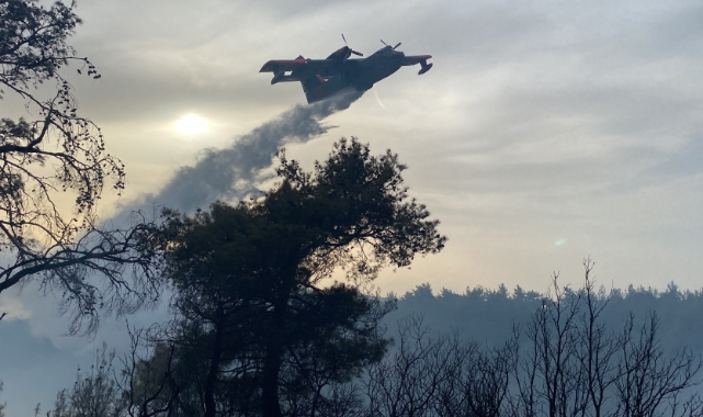 Çanakkale'deki orman yangını 8 saat sonra kontrol altına alındı