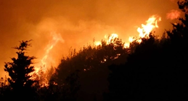 Çanakkale’deki orman yangını sürüyor
