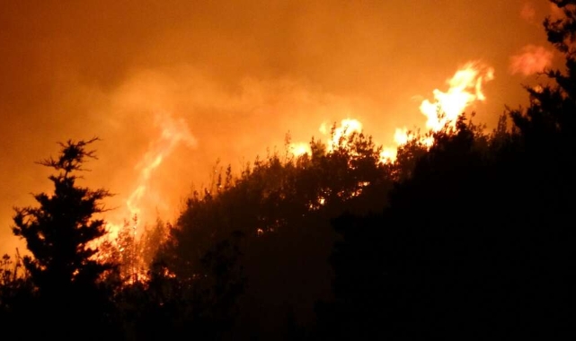 Çanakkale’deki orman yangını sürüyor