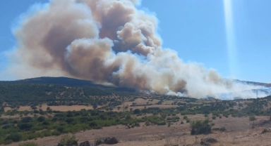 Çanakkale'nin ciğerleri yandı...
