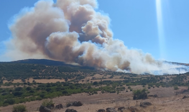 Çanakkale'nin ciğerleri yandı...