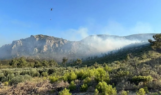 Çanakkale ve Mersin'de orman yangını