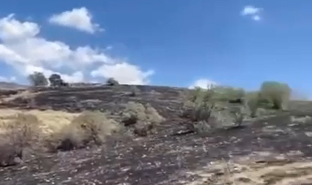 Çankırı’da arazi yangını