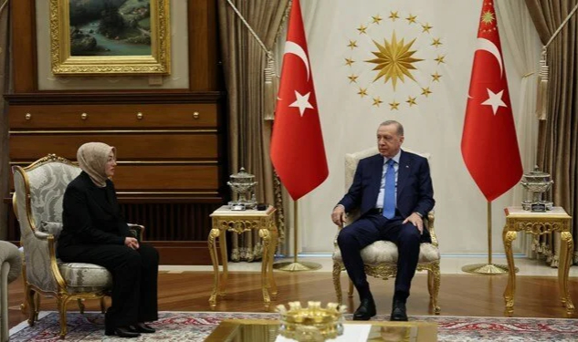 Cumhurbaşkanı Erdoğan, Ayşe Ateş'i kabul etti