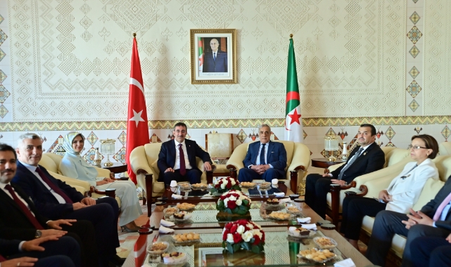 Cumhurbaşkanı Yardımcısı Cezayir’de!