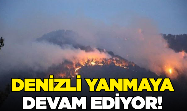 Denizli'de 8 orman yangınlarından 7'si kontrol altına alındı