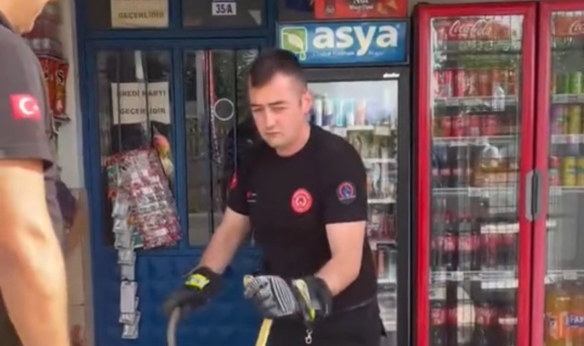 Düzce'de markette yılan paniği