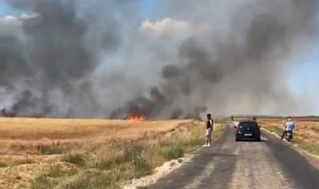 Edirne'deki yangında 20 bin dönümlük alanda 38 ton buğday kül oldu