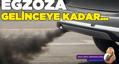 Egzoza gelinceye kadar…