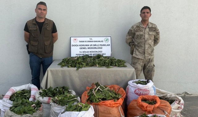 Hakkari soğanlarını İran'a kaçırmak isteyen kişilere dev ceza