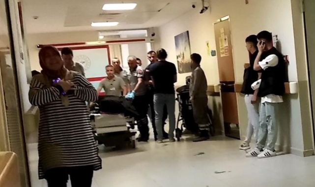 Ihlamur ağacından düşen adam hayatını kaybetti
