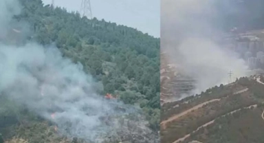 İzmir'de orman yangını
