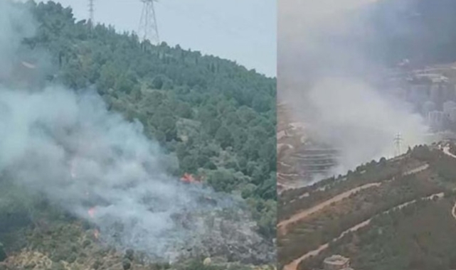 İzmir'de orman yangını