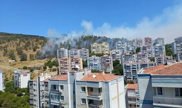 İzmir'de orman yangını
