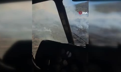 İzmir'deki orman yangını kontrol altına alındı