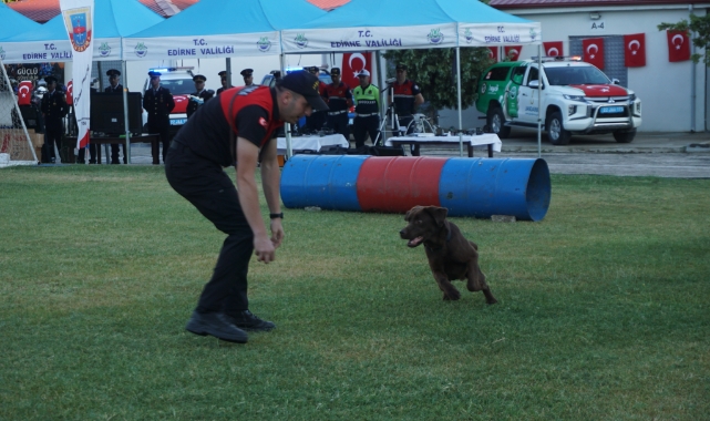 Jandarmanın Taka ve Yama isimli köpekleri gösteri yaptı