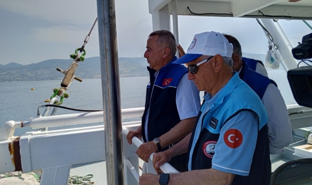 Karadeniz'de Türk somonu hasadı