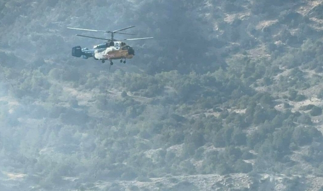 KKTC’deki orman yangınının nedeni belli oldu