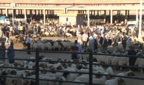 Kurban pazarlarında hareketlilik yaşanıyor